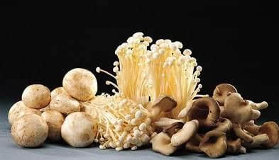 SءʳB(yng)ʳǧfeĢ