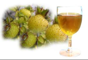 「刺梨汁」廣州男士絲襪養(yǎng)生會(huì)所告訴你刺梨汁有什么妙用